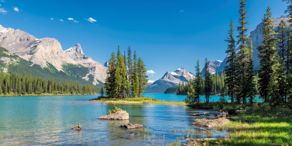 Yellowstone National Park